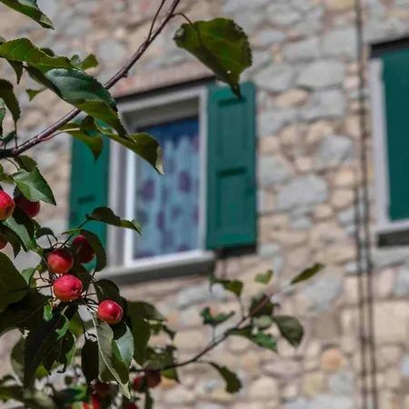 Podere P Ratizzoli Ii Piano Tole